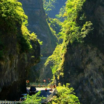 峽谷傳奇